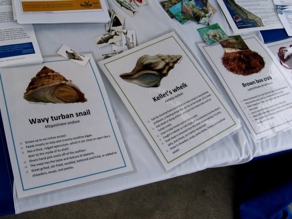 More info on the table describes the wavy turban snail and Kellet's whelk, which I'm told make for good eating.