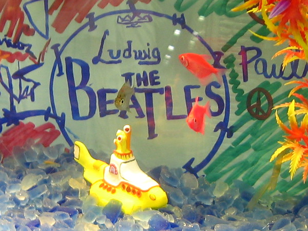 A yellow submarine in a Beatles-themed tropical fish aquarium. Photo taken in Balboa Park during the San Diego Tropical Fish Society Annual Show!