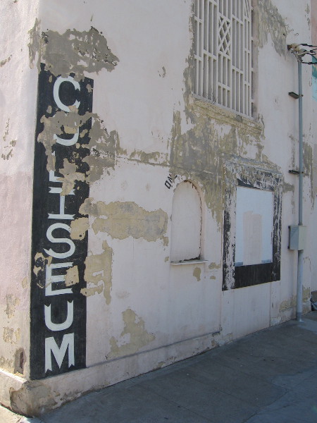 This particular weird creature was not found in the Coliseum. I know the Colosseum in Rome is filled with feral cats.