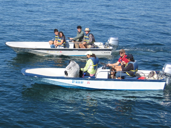 People enjoy a day of boating on blue San Diego Bay.