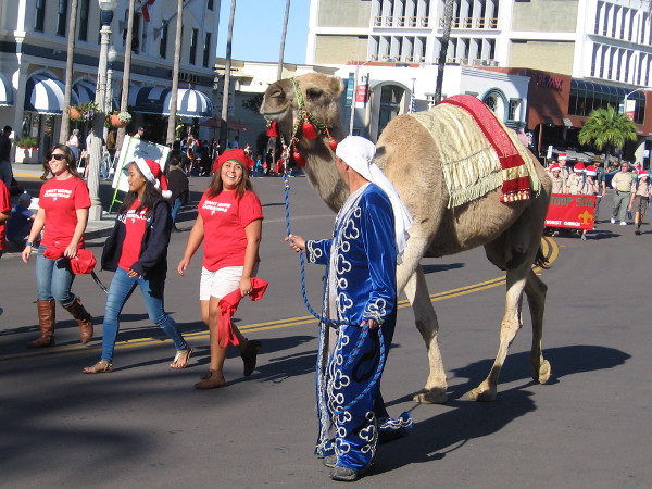 The La Jolla Presbyterian Church had Joseph, Mary, shepherds, an angel, and two live camels!