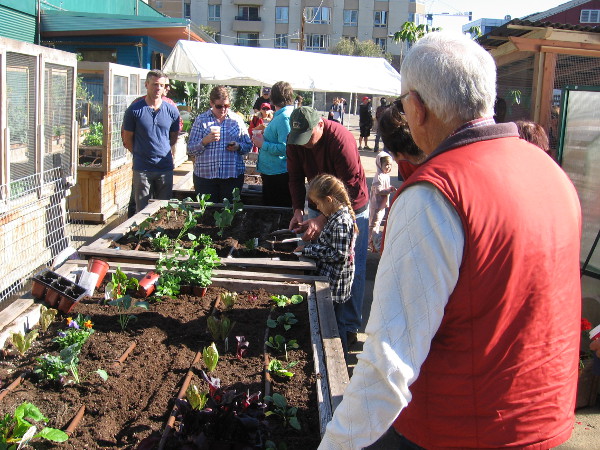 A young gardener sows some seeds at SMARTS Farm.