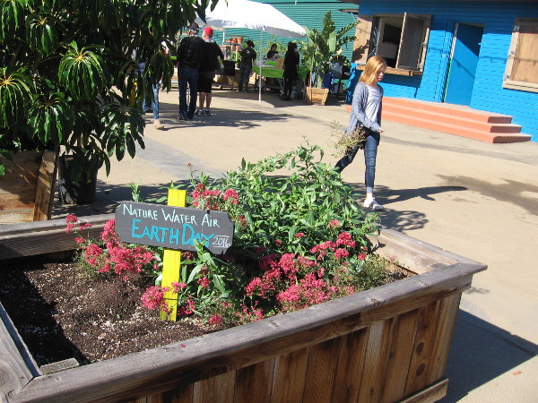 Nature, Water, Air. At SMARTS Farm, every day is Earth Day!