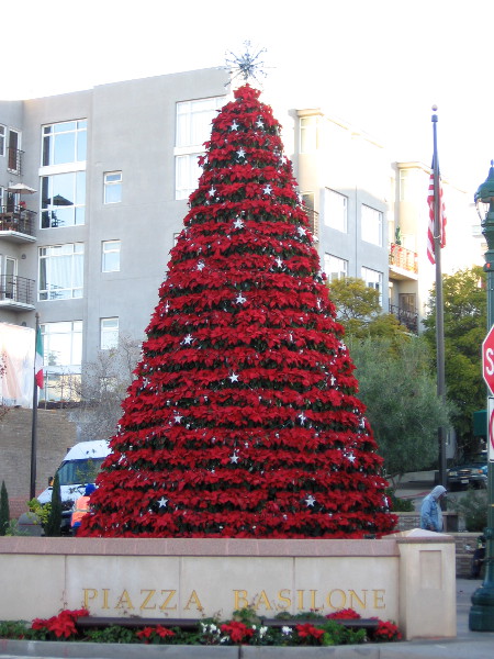 I hope and pray Santa brought lots of gifts. He'd better not forget Little Italy's poinsettia tree in Piazza Basilone.