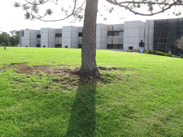 It's a sunny day in La Jolla as someone walks toward a brilliant creation of the human mind--a building designed by famed modernist architect Louis Kahn.
