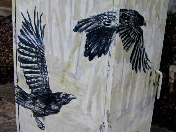 More cool street art. Two crows fly across the angled sides of a utility box on North Torrey Pines Road.