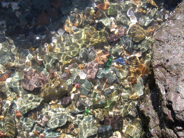 Dazzling bits of stone and broken glass in the water of Mission Bay.