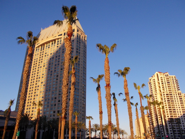Palms along Harbor Drive and morning light on the Manchester Grand Hyatt Hotel.