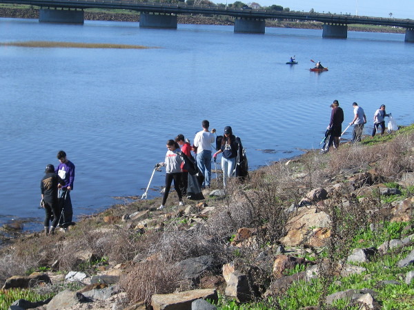Many ordinary people came out today to help clean up the San Diego River Estuary.