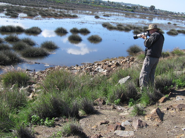 A photographer captures images of waterfowl swimming through grass down the river.