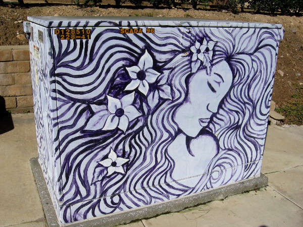 Lovely street art painted on a transformer box in Mira Mesa.
