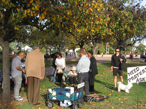A group prays under a beautiful tree. Human hope, pain, love . . . among the dropping leaves.