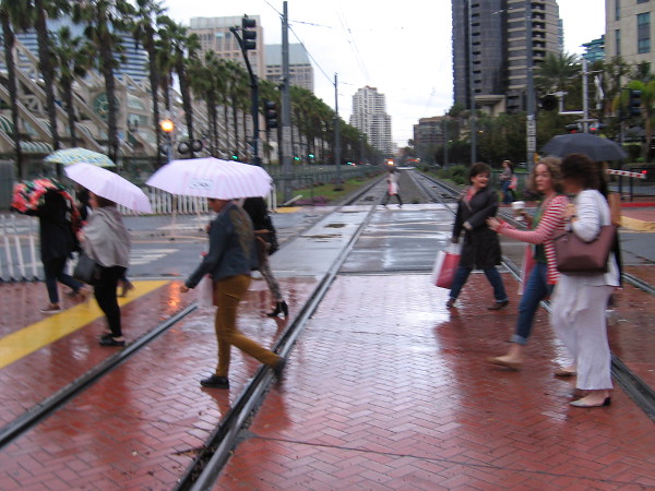 Honest-to-goodness rain has returned this winter, hopefully putting an end to our ongoing drought.