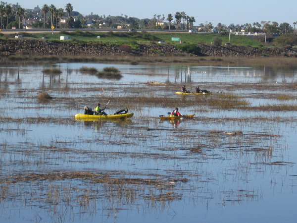 As I walked west along the San Diego River, I noticed a number of kayaks out on the water.