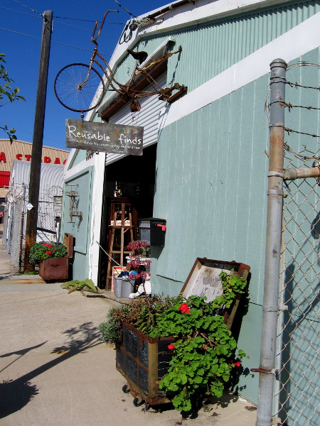 Another rusty bike hanging above a trunk full of flowers.