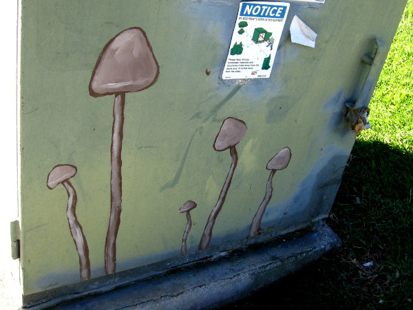 Are mushrooms sprouting from the nearby grass?