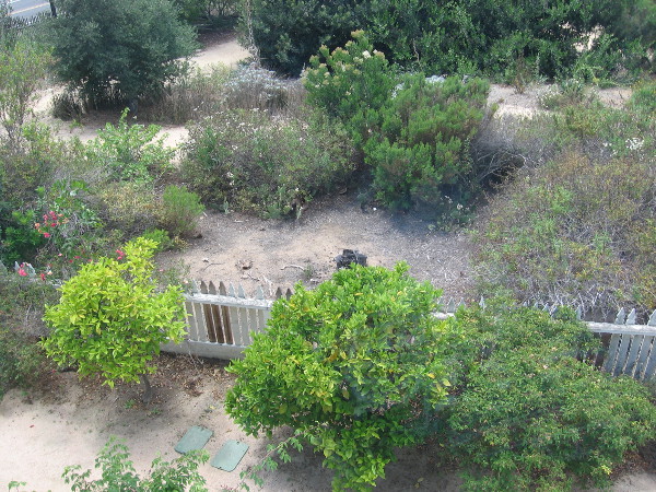 Looking northwest from the second floor of the McCoy House Museum in Old Town San Diego. The Native Garden is a bit dry and scraggly--but that's how local vegetation naturally appears.