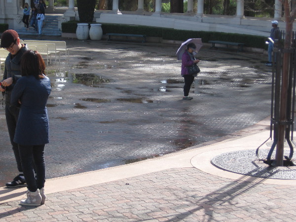 Rain or not, it seems an umbrella and cell phone simply can't be put aside.