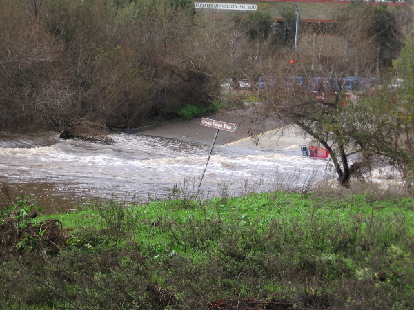 As usual, the San Diego River was flooding Avenida del Rio south of the mall. The short street is appropriately named!