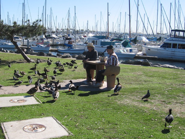 Sitting at a table by the marina feeding the birds.