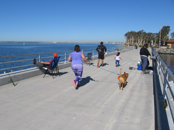 Walking the dog across Chula Vista Bayside Park's fishing pier, next to the marina.
