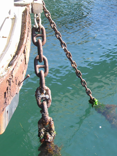 Life clings to chains. Rust devours chains.