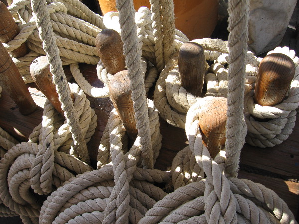 Ordered ropes, to harness gusts above.