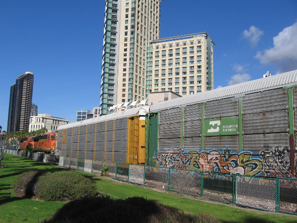 A car carrier freight train covered with graffiti has stopped along Harbor Drive.