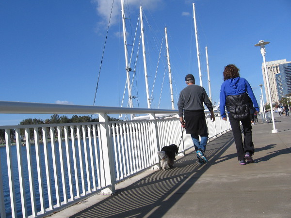 Folks with a dog walk along San Diego Bay, approaching the high masts of superyachts.
