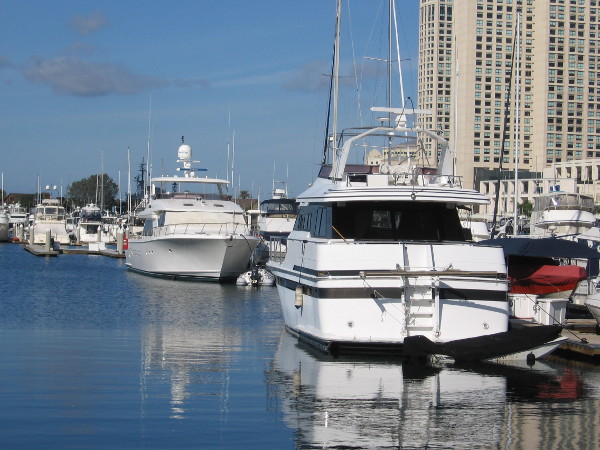 Just beautiful yachts in the Marriott Marina.