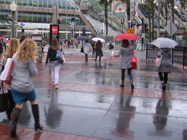 Umbrellas have sprouted like colorful flowers in the rain!