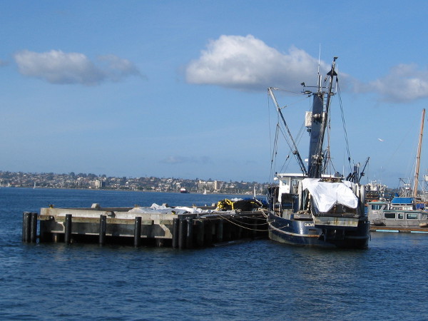 Uh, oh! Look what I spotted. The live bait seiner Cachalot seems to be drifting away from the Tuna Harbor Pier! Perhaps last night's storm is the reason.