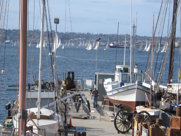 Dozens of sailboats out on San Diego Bay during New Year's Day. It's a sailing regatta!