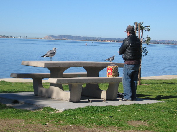 Feeding birds at a park picnic bench.