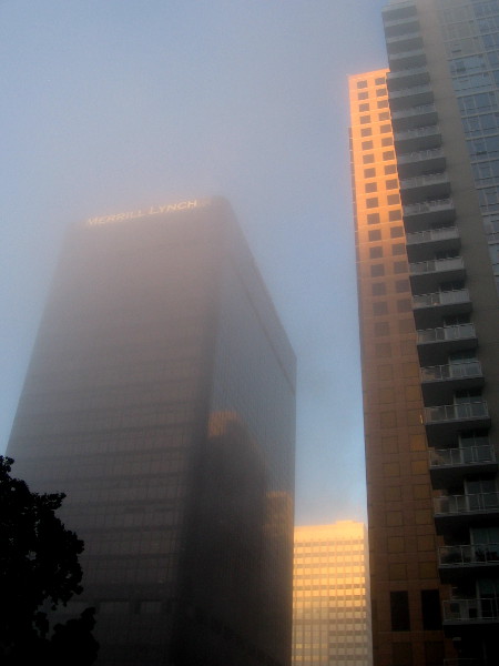 Fog and sunlight create a magical morning photo of skyscrapers on B Street in the heart of San Diego.
