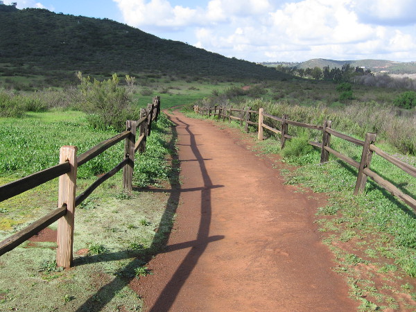 A wet trail heads west over a green landscape. Many birds were seen flying across the open space.