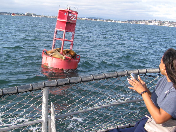 Yay! We get to slow down to photograph sea lions sleeping on a harbor buoy.