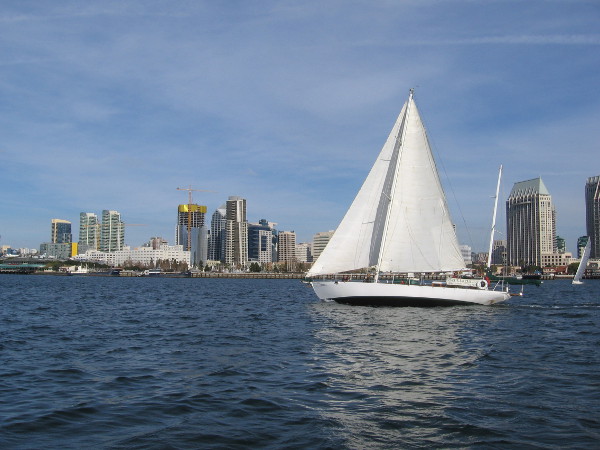 Beautiful sailboats were tilting in the breeze and many passed so close we could hear the canvas flapping.