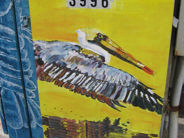 A pelican on an electrical box on Mission Boulevard in Mission Beach.