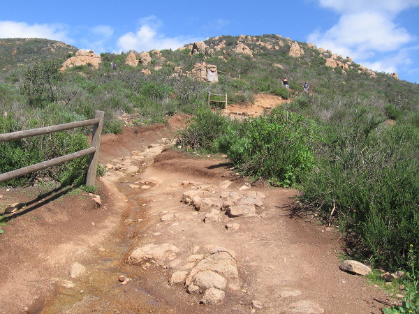 Up, up we go! The climb is relentless, with only a few short level stretches.
