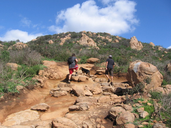 Many hikers had dogs, who enjoyed the hike, too. The scrubby vegetation and exposed boulders are common in the mountains and hills around San Diego.
