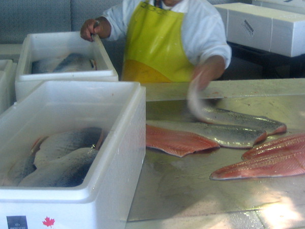 Worker inside the processing window at Chesapeake Fish packages fresh local catch. Their seafood products are used by nearby restaurants and shipped around the world.