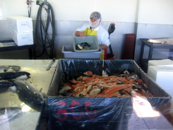 I believe these are the bones, heads and inedible parts that are removed from the fish during the cleaning operation.