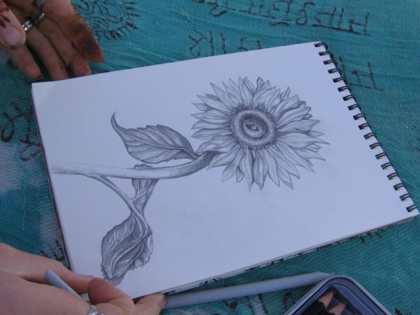 This elegant drawing of a sunflower stopped me in my tracks. Patience combined with talent.