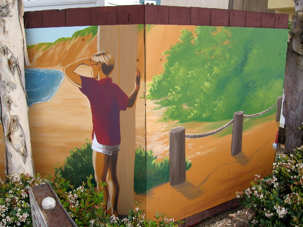A youth with a surfboard looks out at the beach and sandstone cliffs.