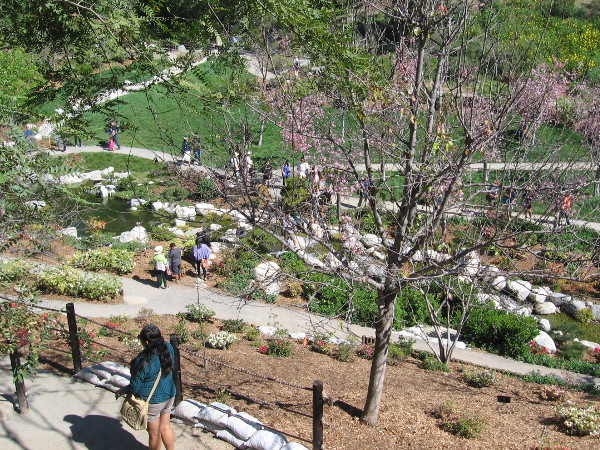 We descend into beauty.