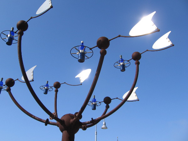 Those blue Bottlenoses are actually bottles! Like a pod of turning dolphins, they shift direction in the wind!