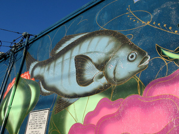 A fish in the ocean needs a clean environment to live.