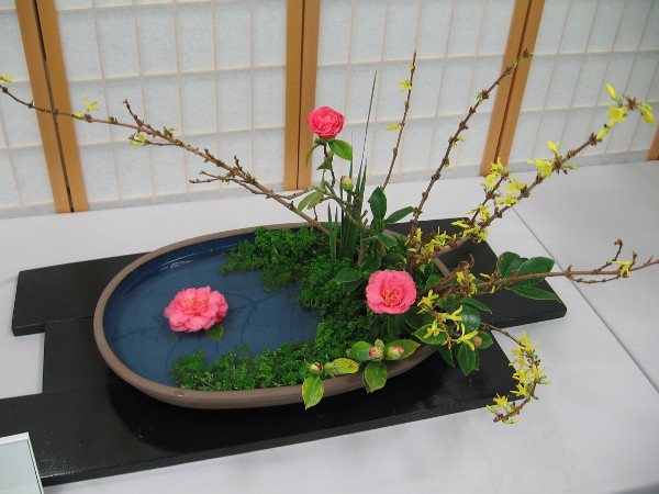 Landscape style arrangement by Cris Bugarin. Ohara School of Ikebana. Materials include forsythia, camellia, parsley, iris leaves.