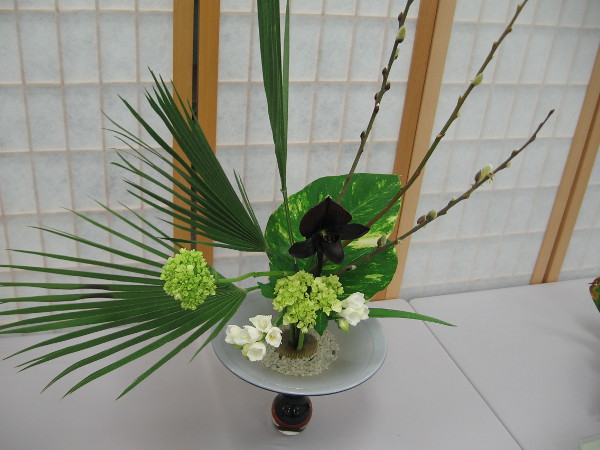 A delight to the eye.